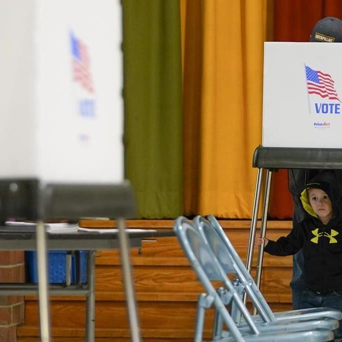 US vote counting unaffected by cyberattacks, officials say